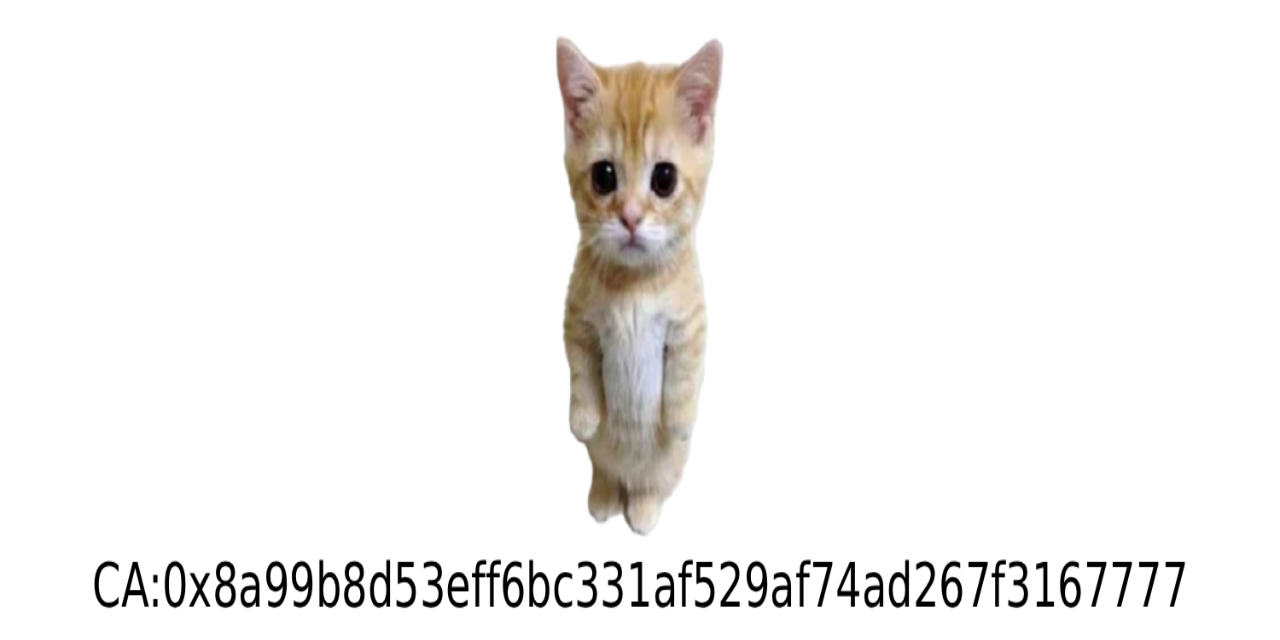 fatecat