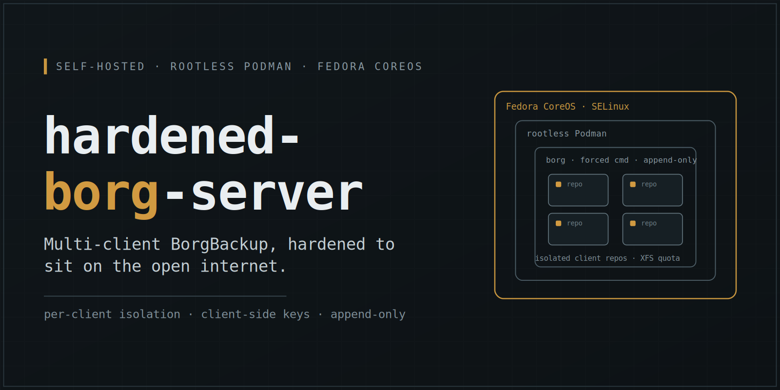 hardened-borg-server