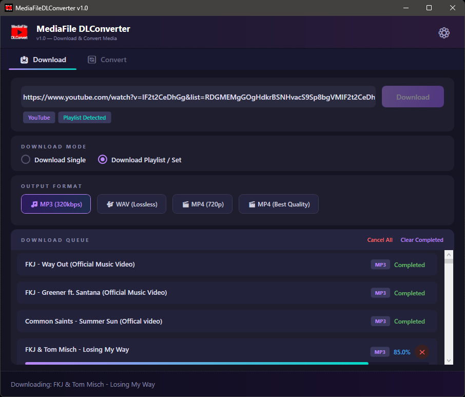MediaLinkDownloadConverterWIN64