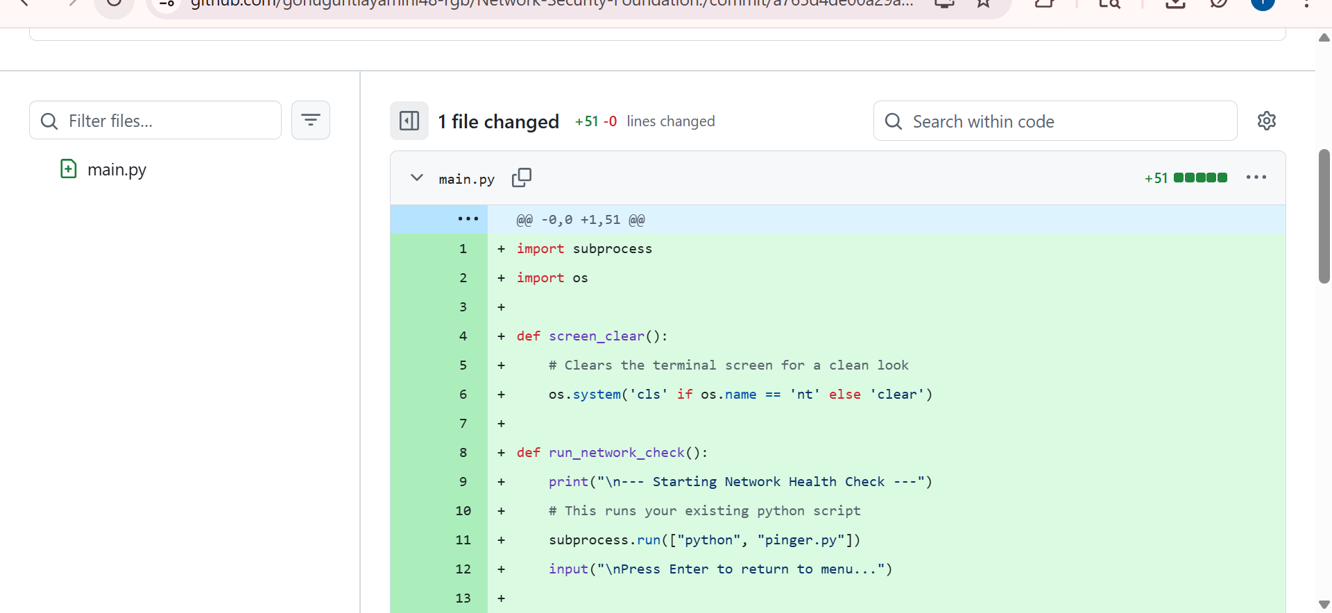 Network-Security-Foundation.