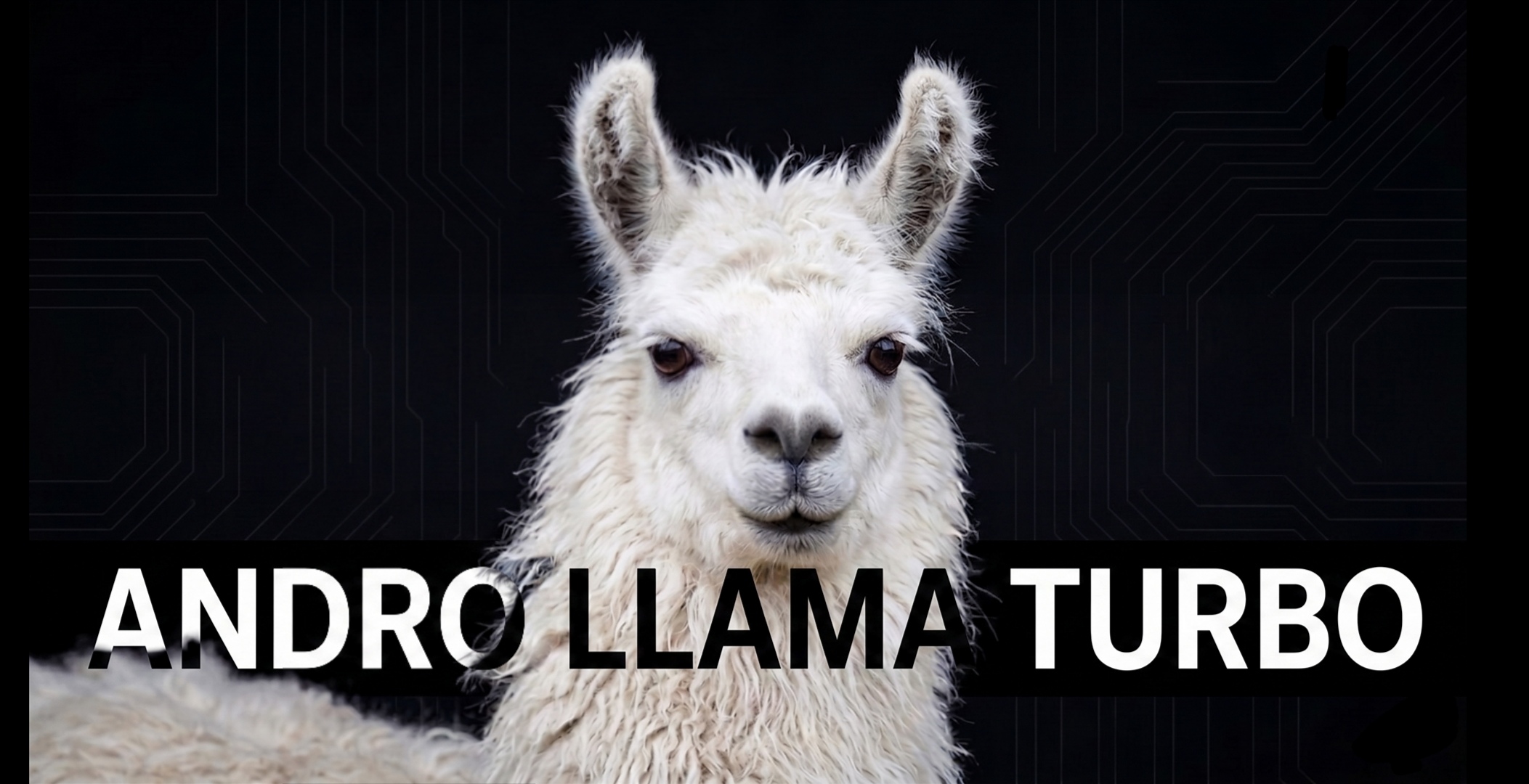 Andro-llama-turbo