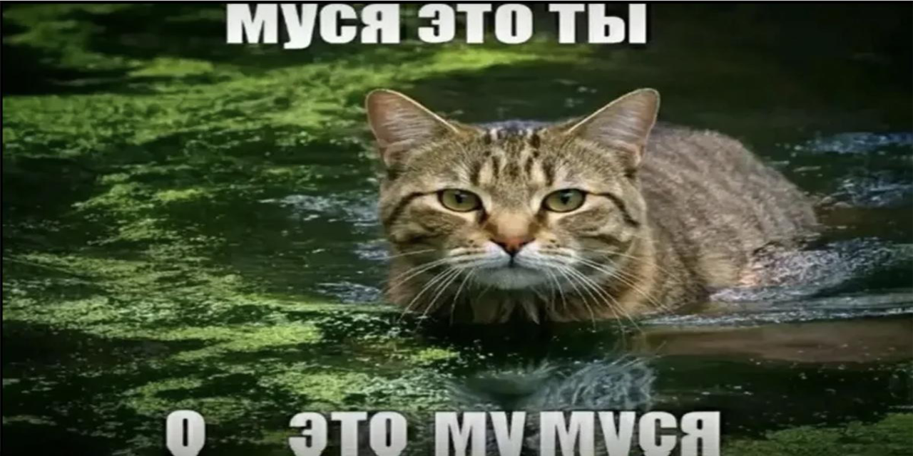 open-affinity-patcher