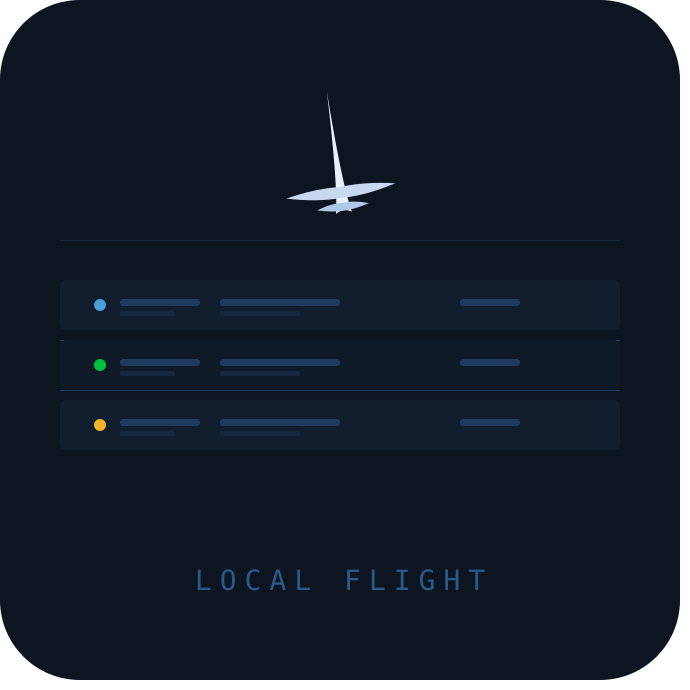 local-flight