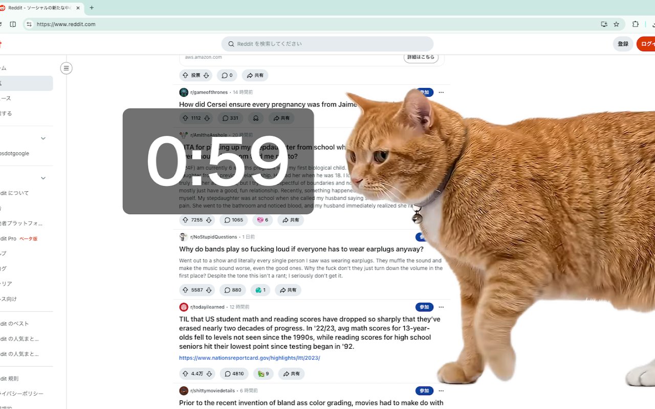 cat-gatekeeper