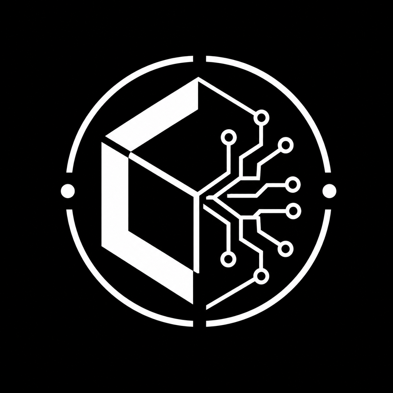 LLM-Developer