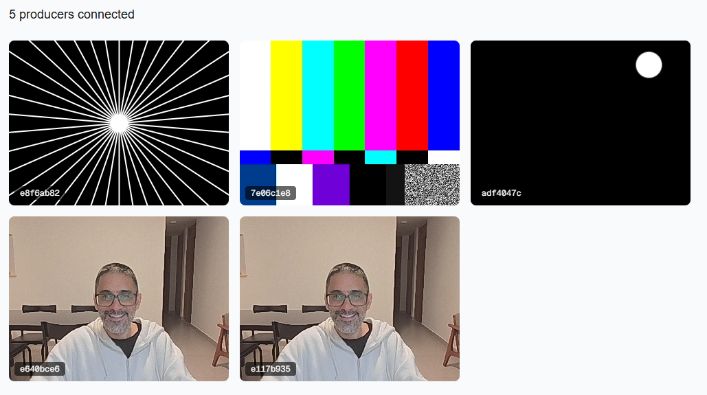 webrtc-grid-demo