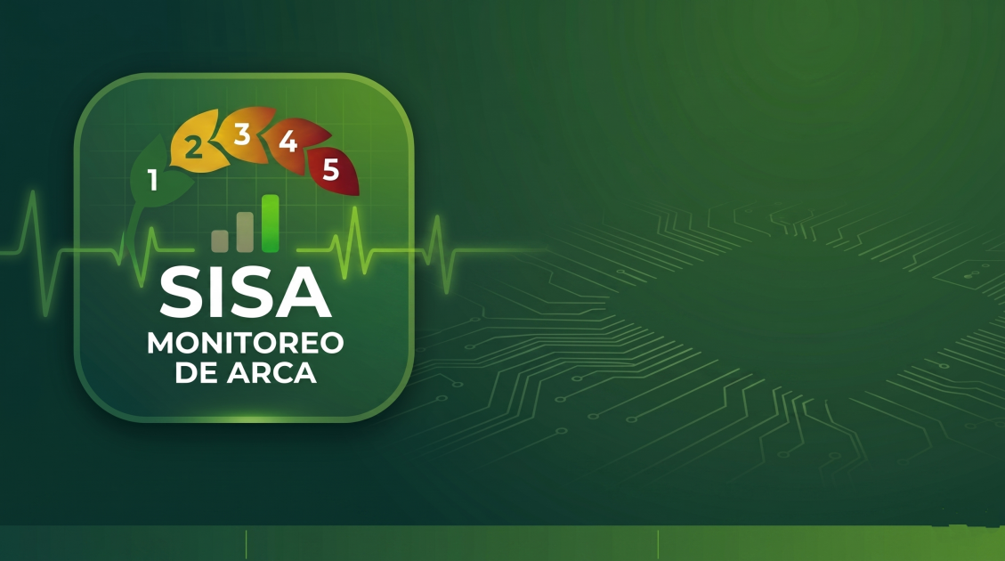 GitHub - rje1974/consulta-sisa: Monitor del padrón SISA (RG 4310) de ...