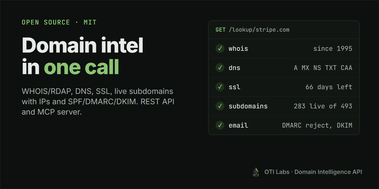 domain-intelligence-api