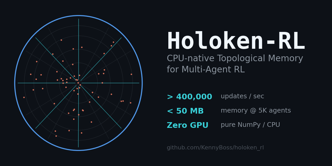 holoken_rl