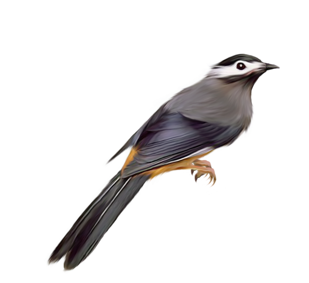 GitHub - Dozer3530/Perch: Perch - Where multispectral data lands. Perch ...