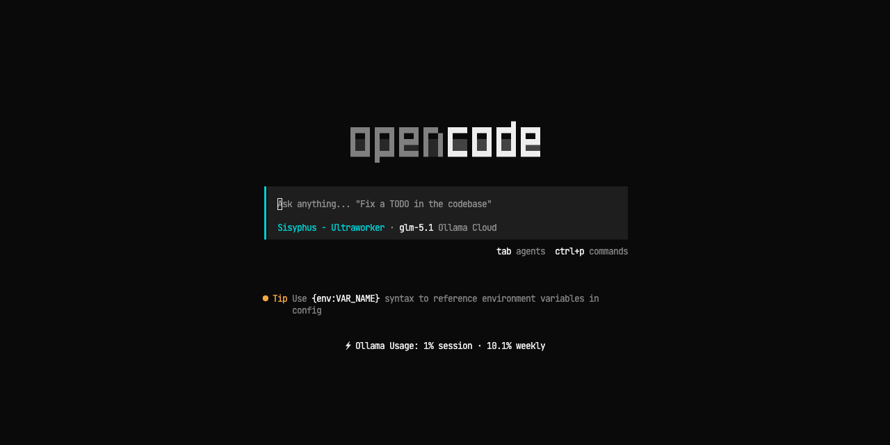opencode-ollama-usage