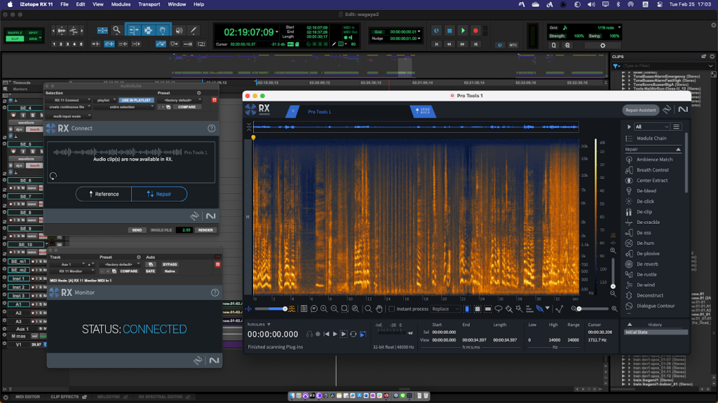 RX-Audio-Editor