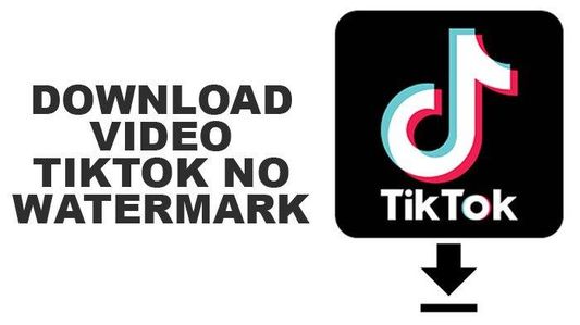 tiktok-video-downloader-fullfree2026