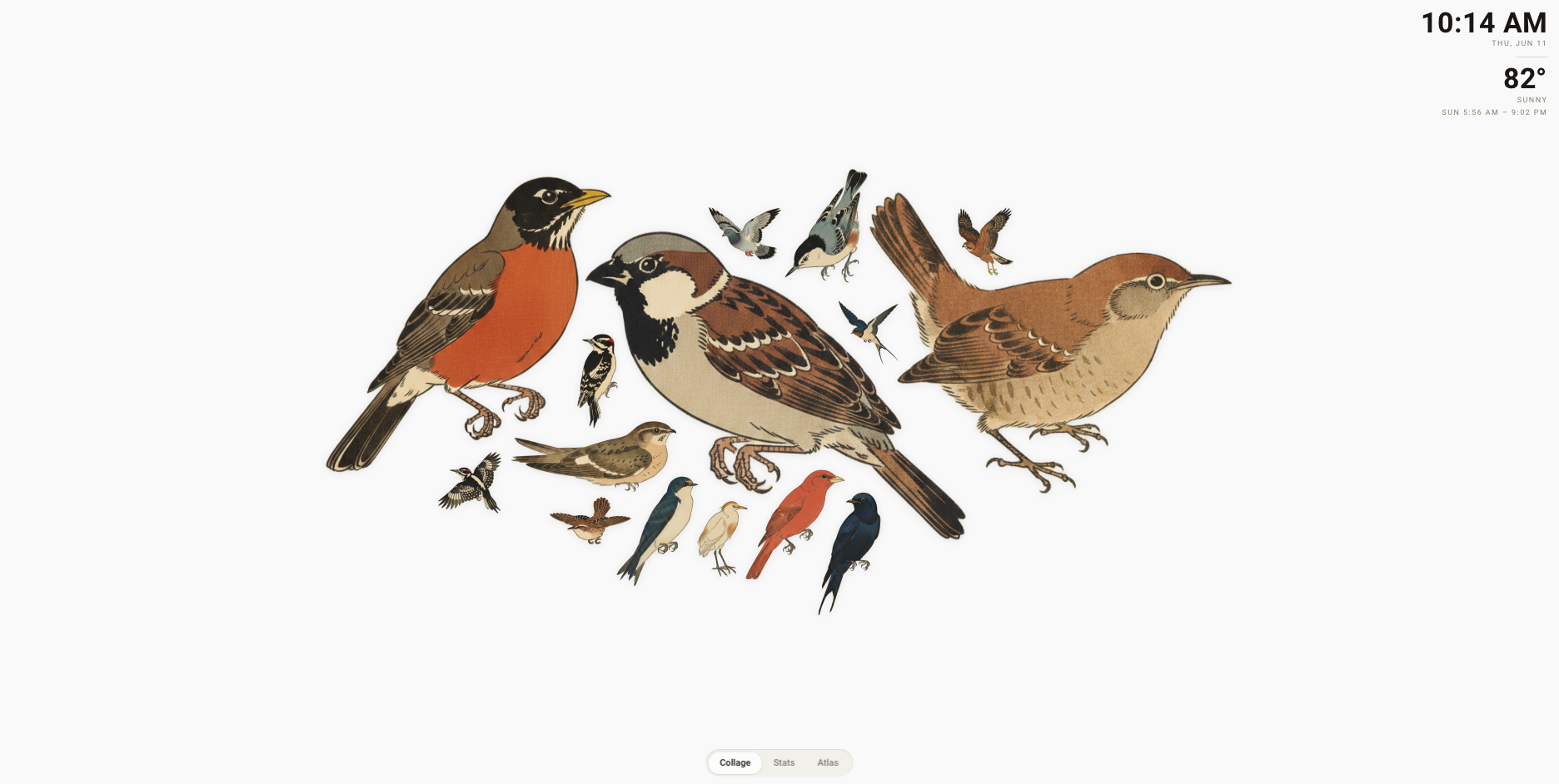 HABirdDashboard