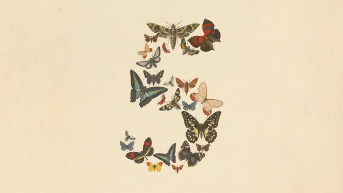 claude-fable-5