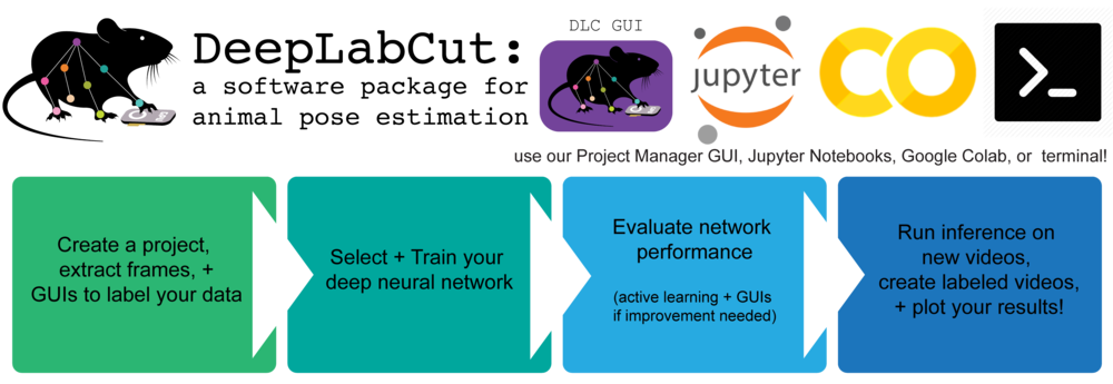 DeepLabCut/examples/JUPYTER/Demo_labeledexample_Openfield.ipynb at main ...