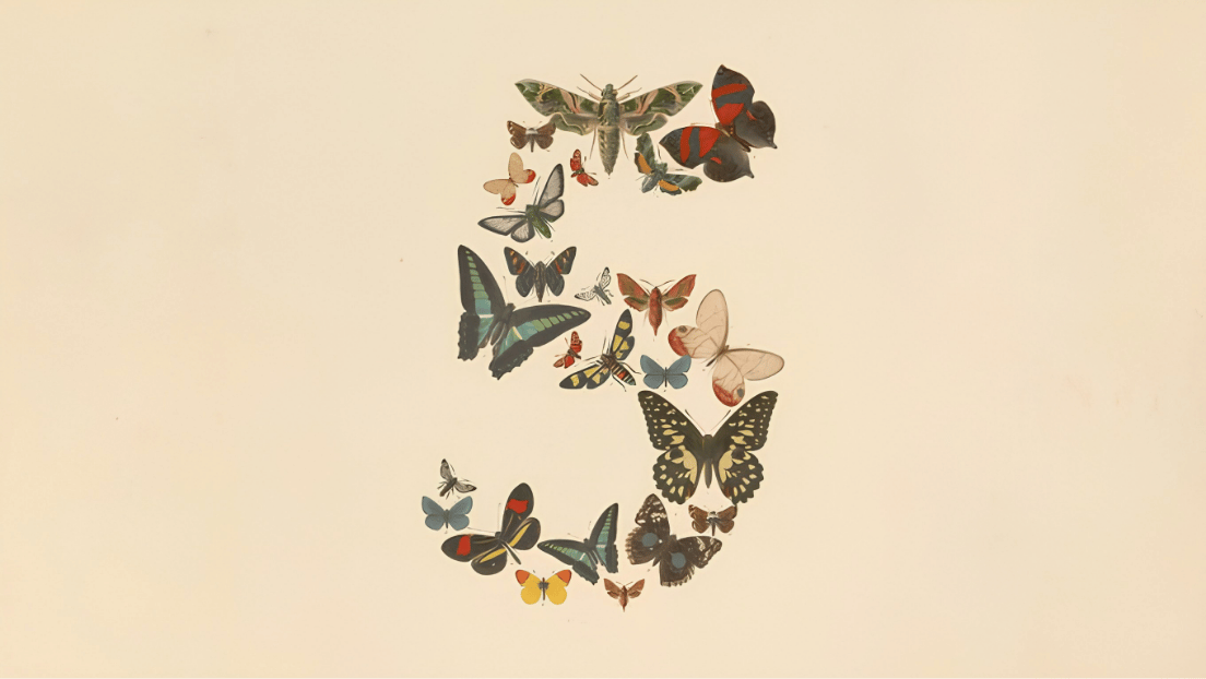 claude-fable-5