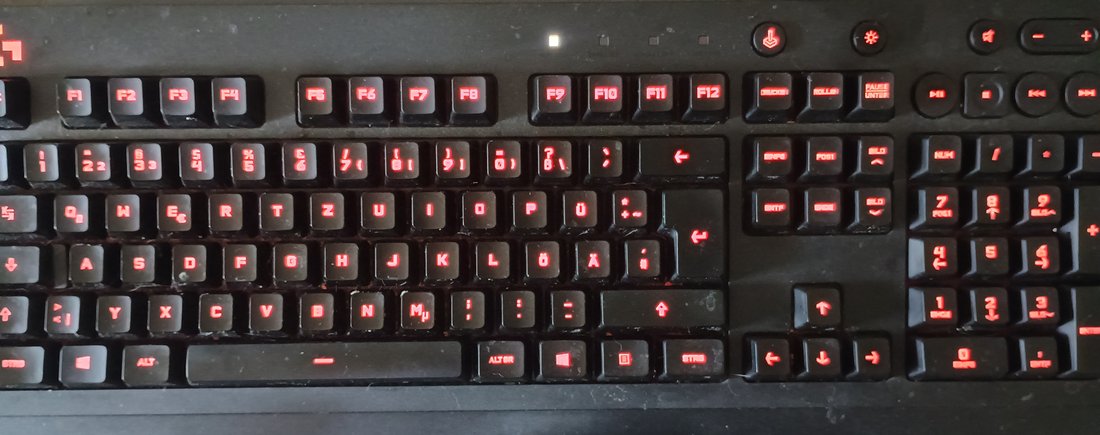 G213Tray