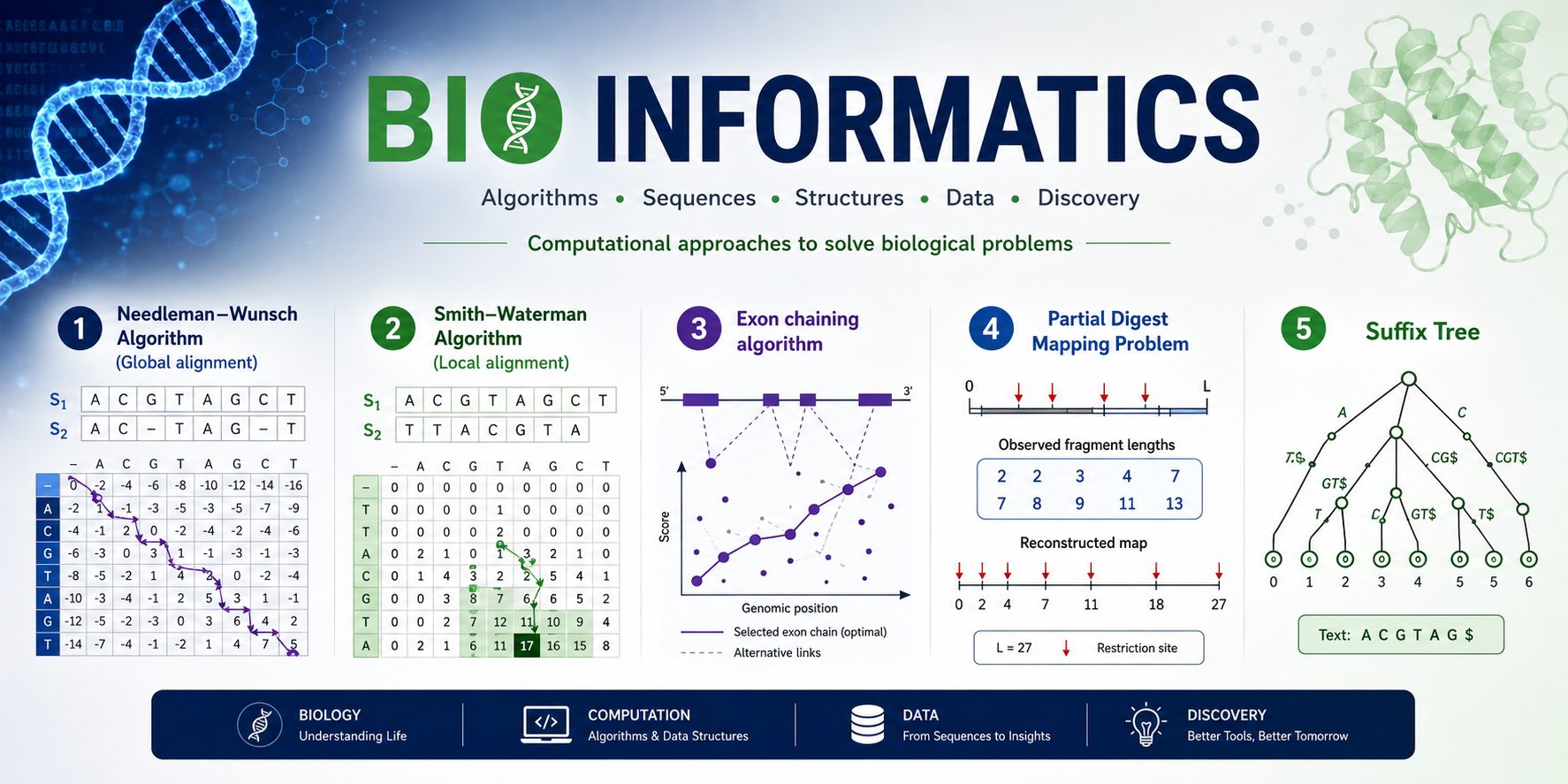 BIO-INFORMATICS