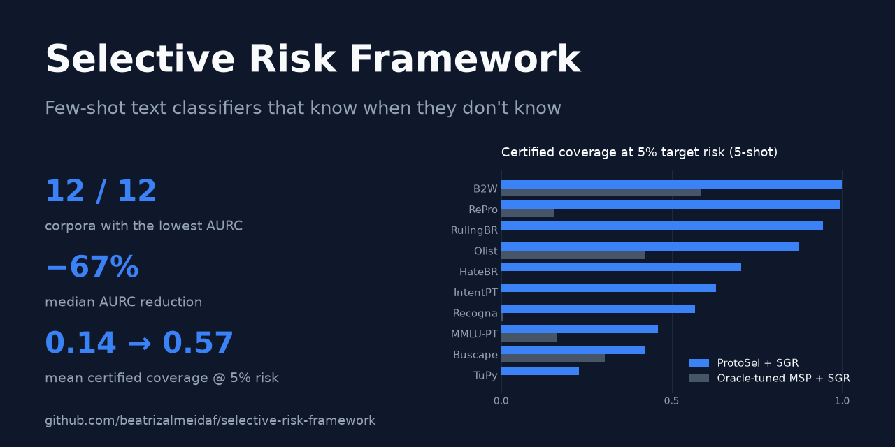 selective-risk-framework