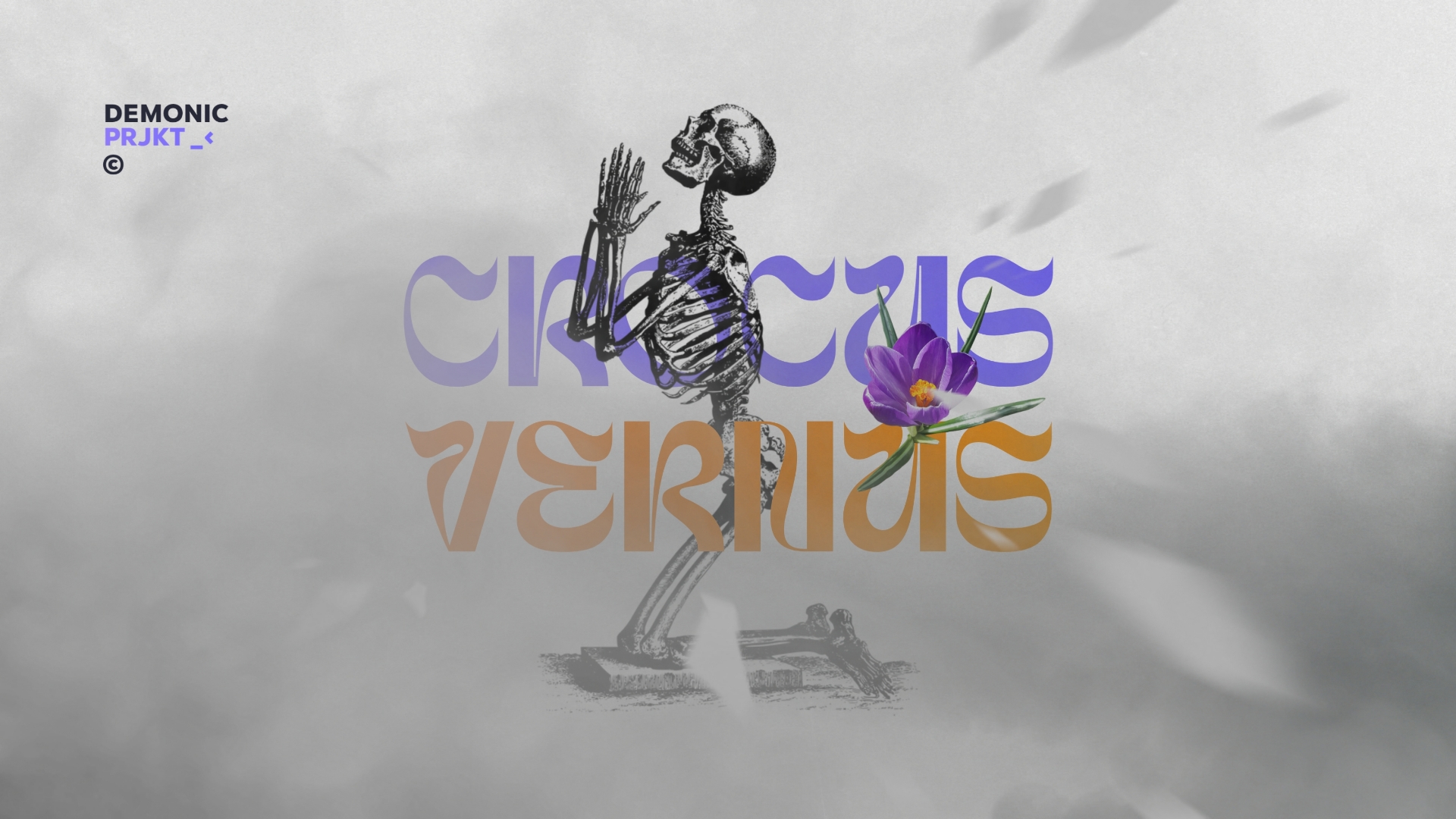 Crocus-Vernus