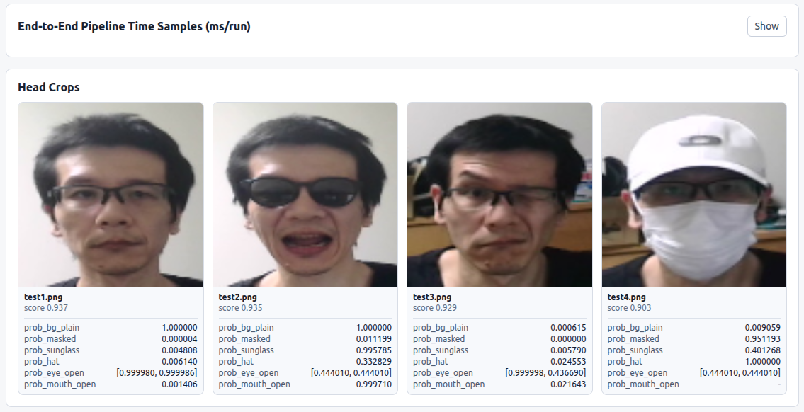 Comprehensive-Head-Classification
