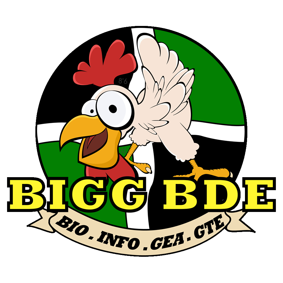bigg-bde.github.io