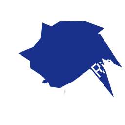 DualRip