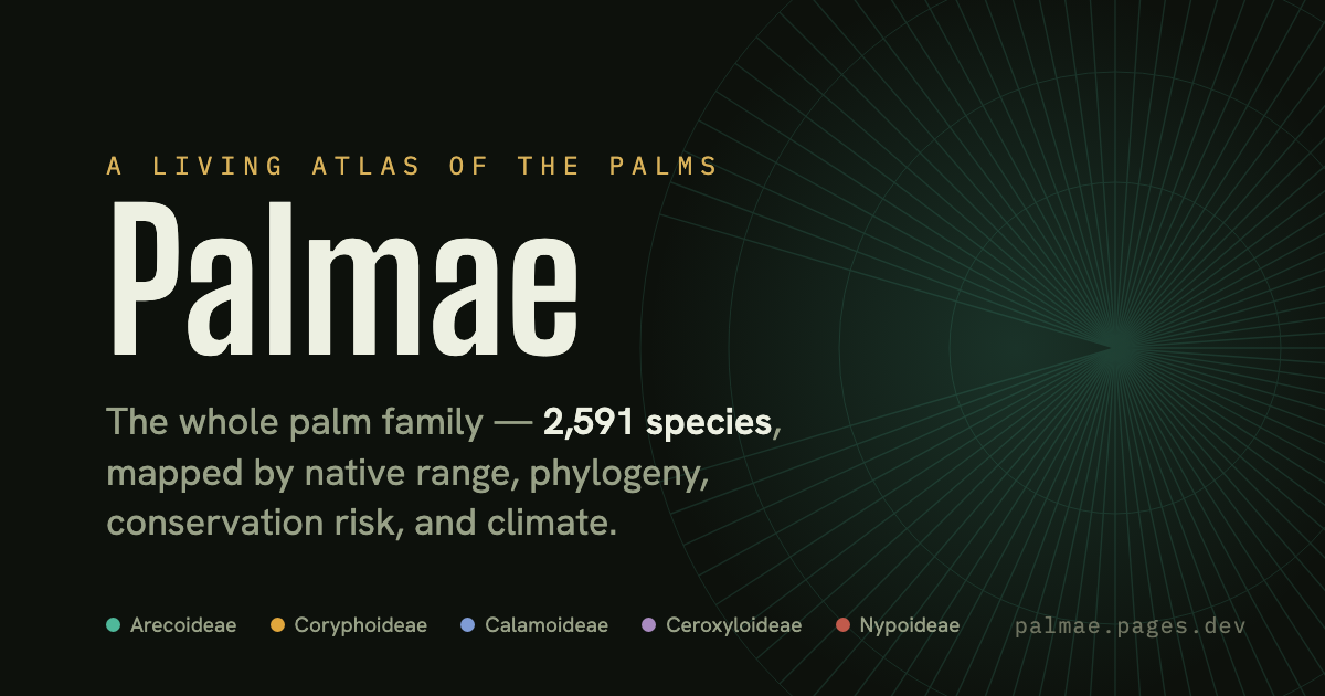 palmae