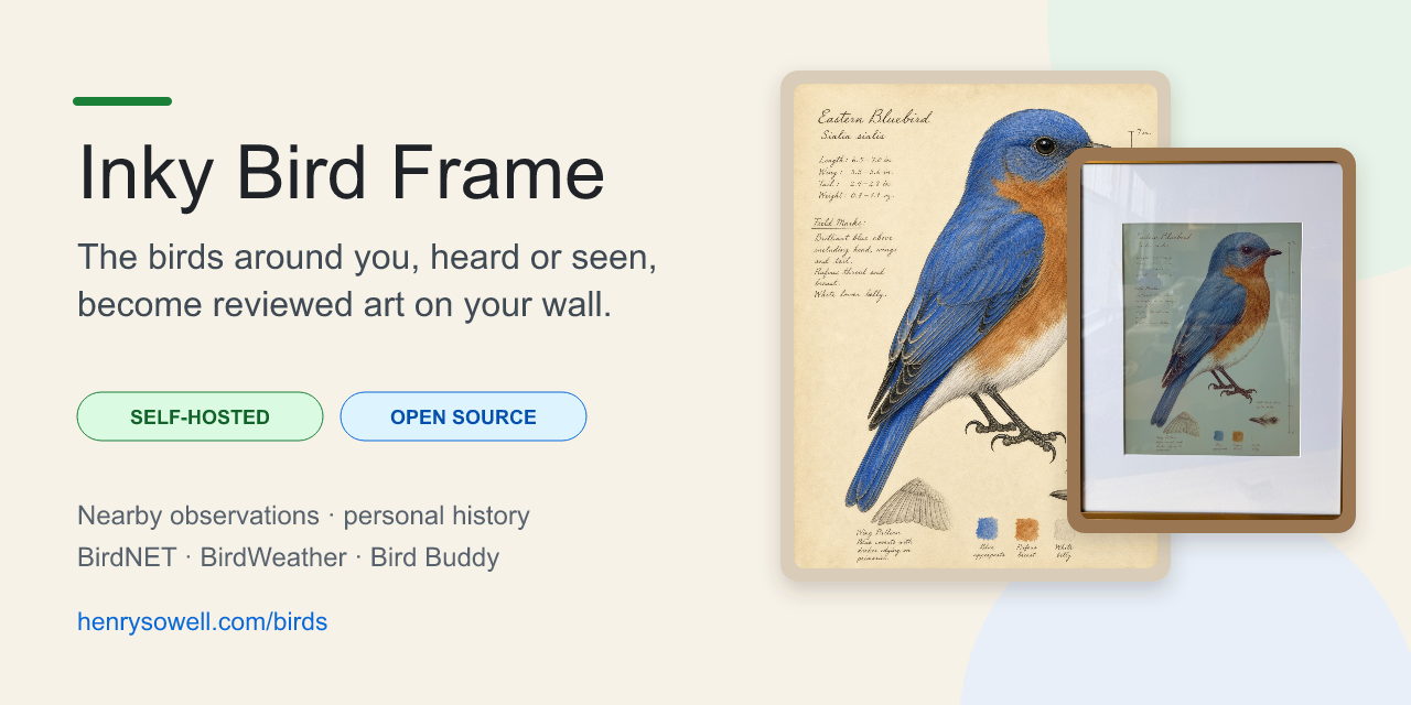 inky-bird-frame