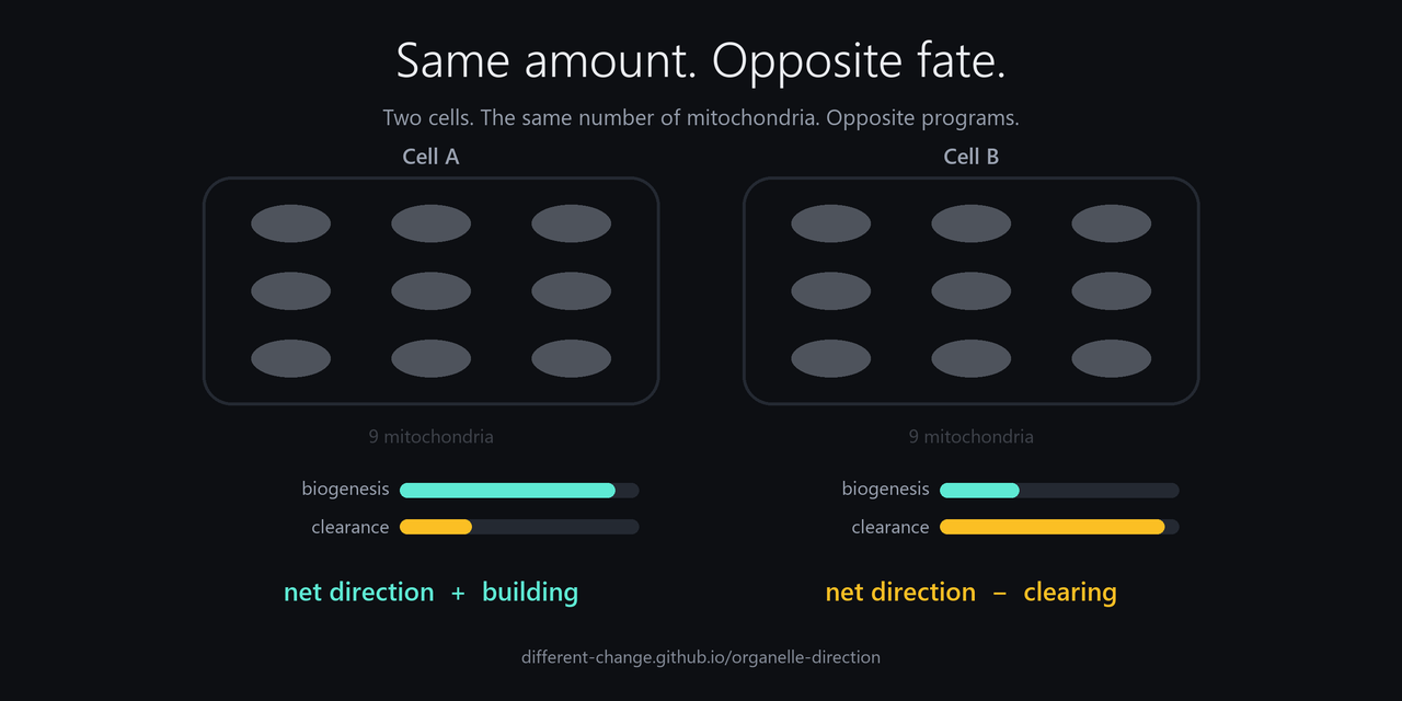 organelle-direction