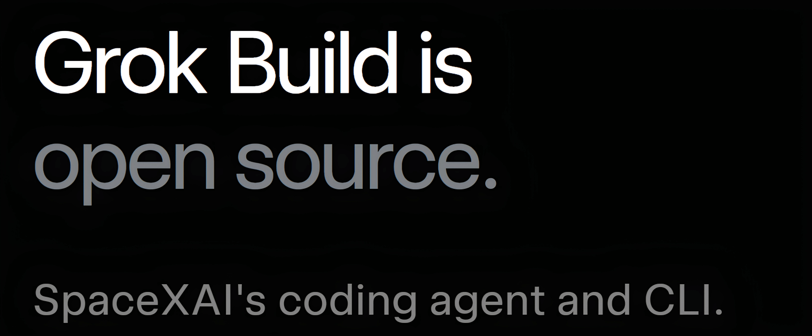 grok-build