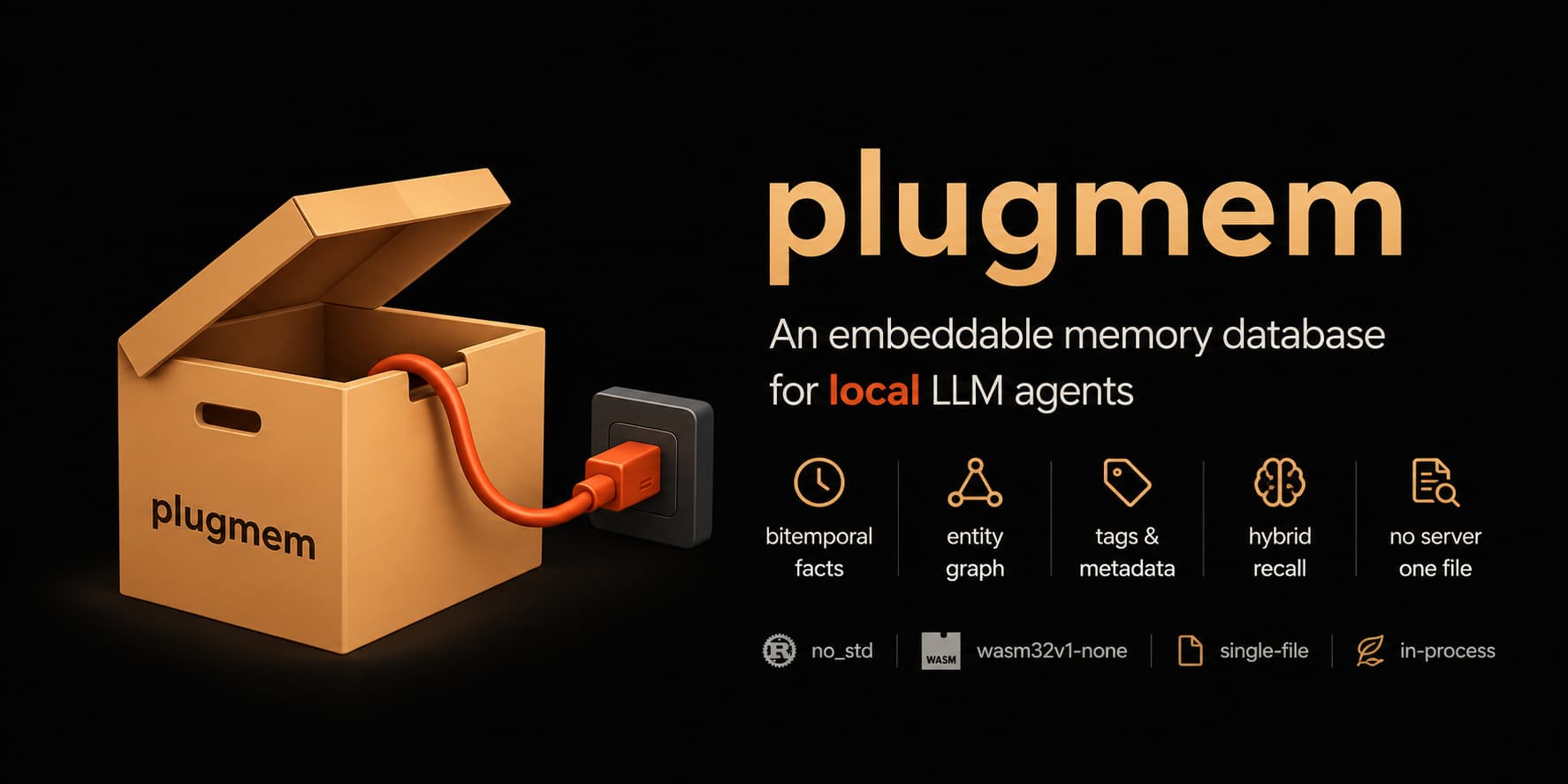 plugmem