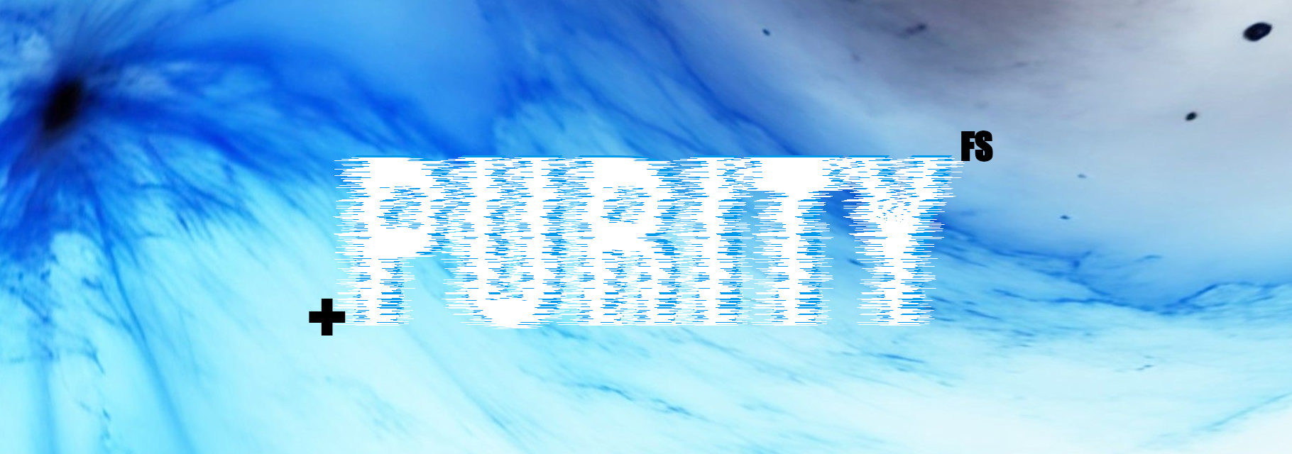 Purity-FS