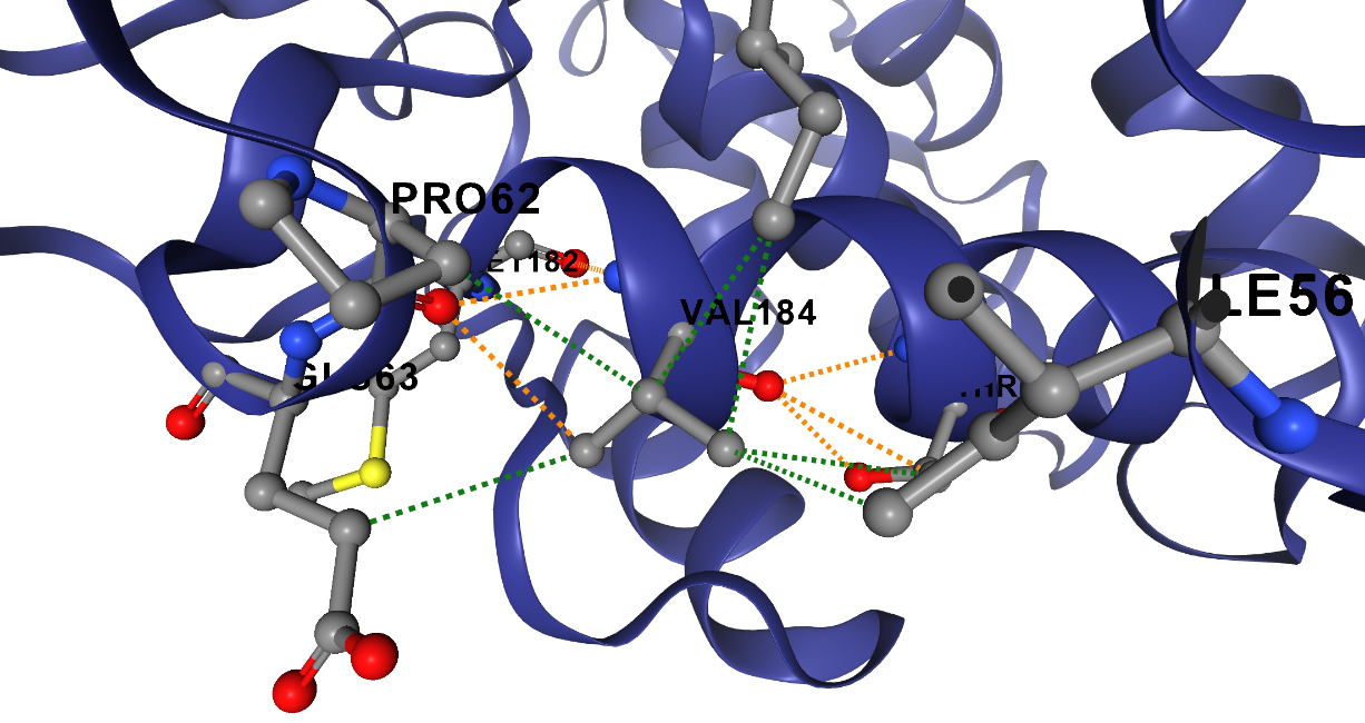 blaTEM-1-Escherichia-coli