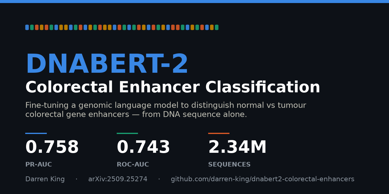 dnabert2-colorectal-enhancers