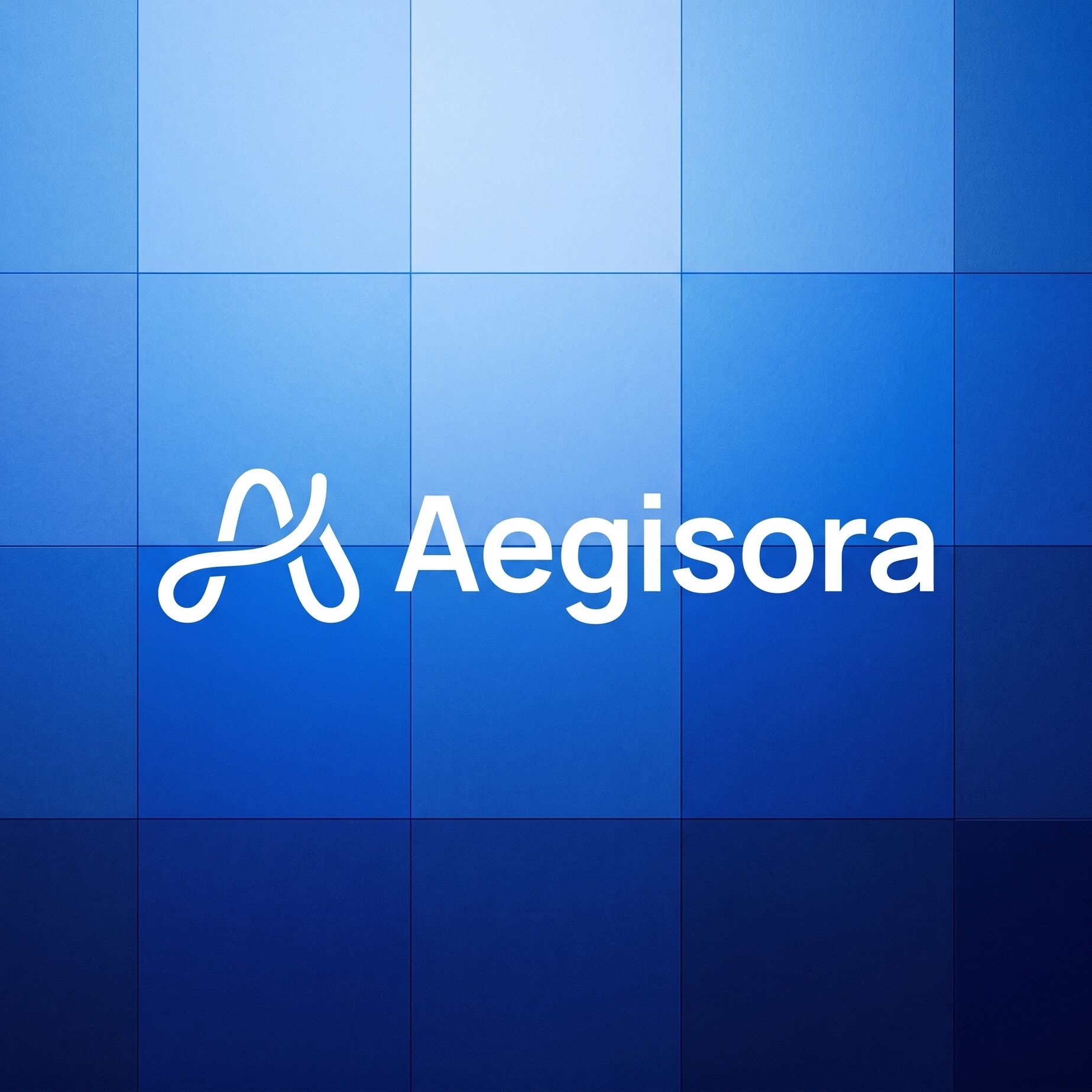 aegisora
