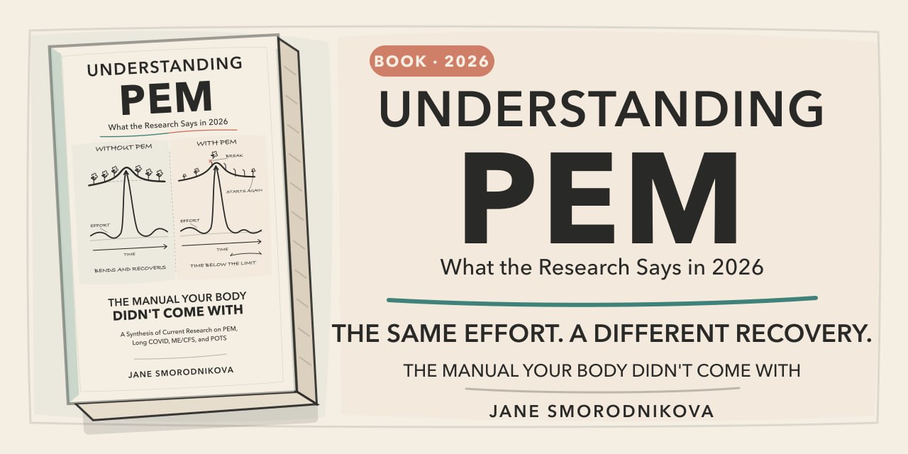 understanding-pem-2026_book