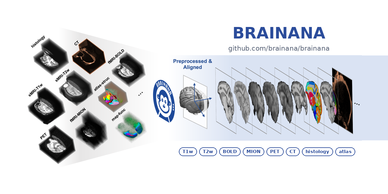brainana