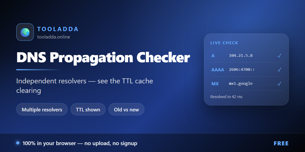 dns-propagation-checker