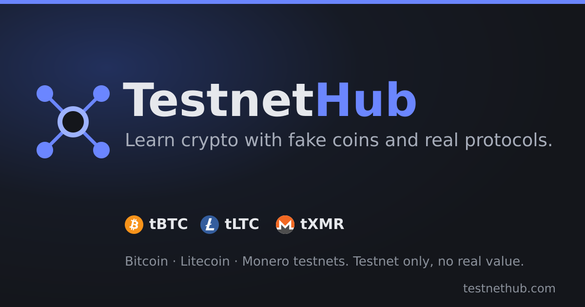 testnethub.com