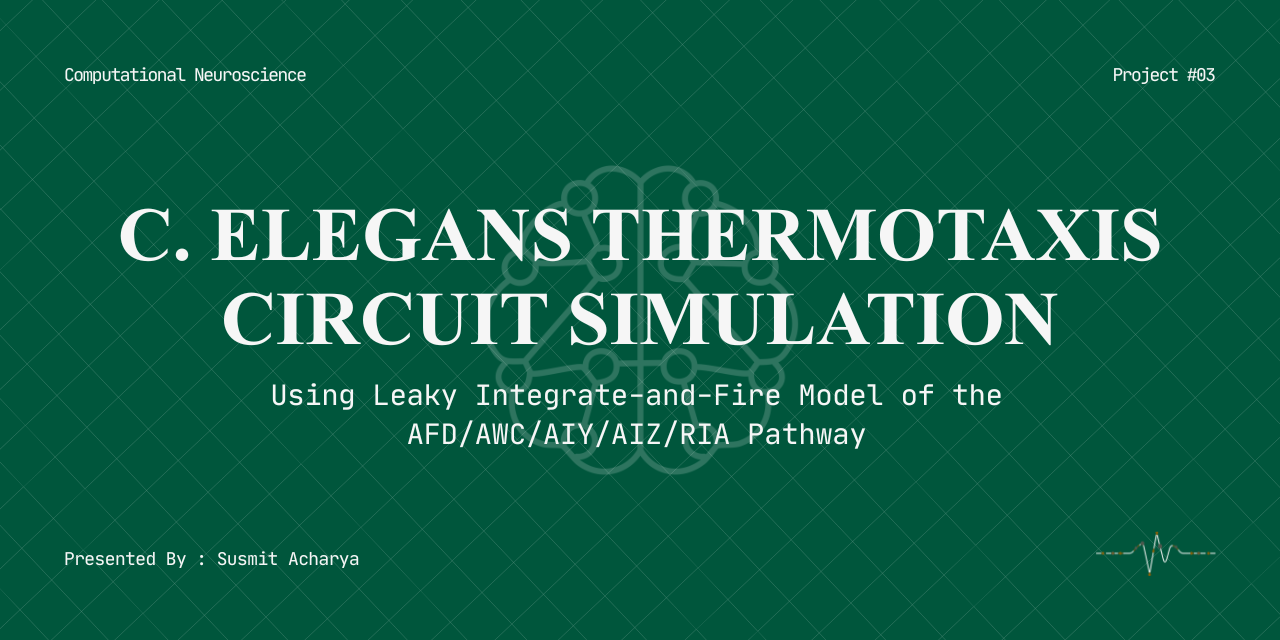 c-elegans-thermatoaxis-circuit