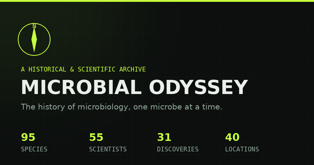 MicroOdyssey