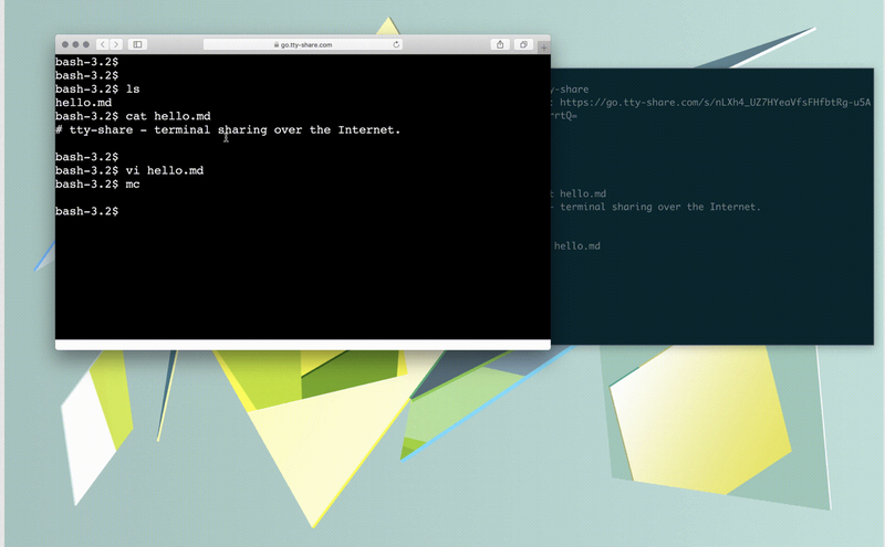 Github Elisescu Tty Share Share Your Linux Or Osx Terminal Over The Internet