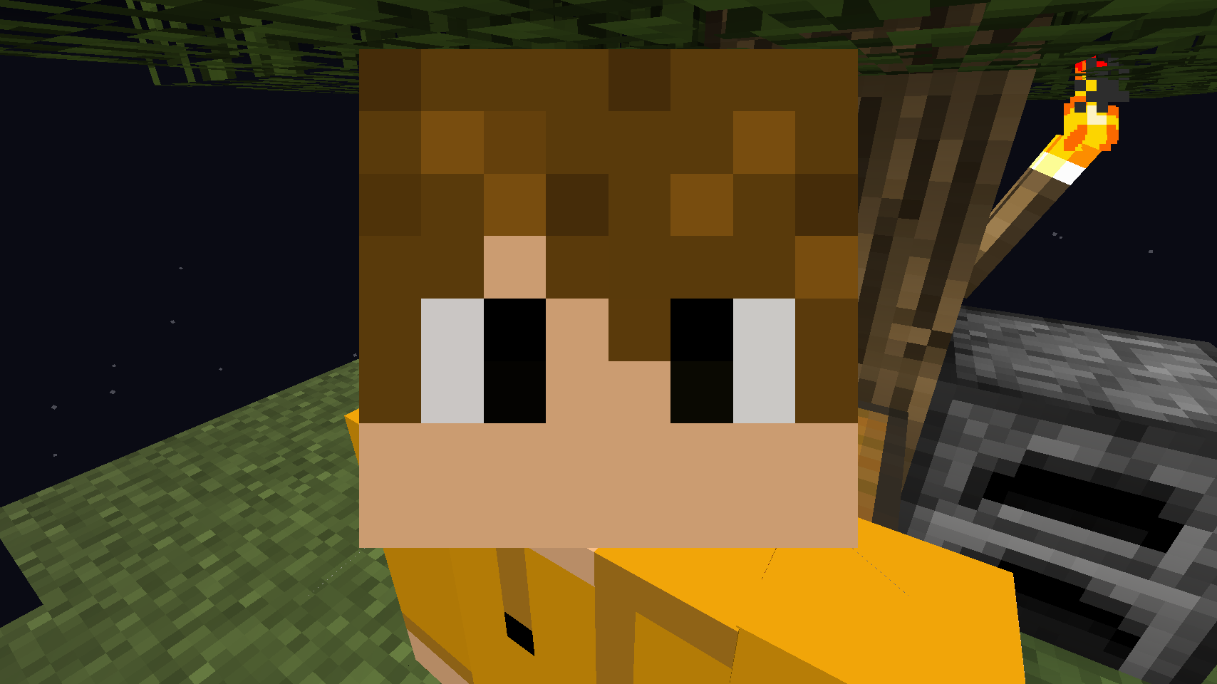 minecraft-skin · GitHub Topics · GitHub