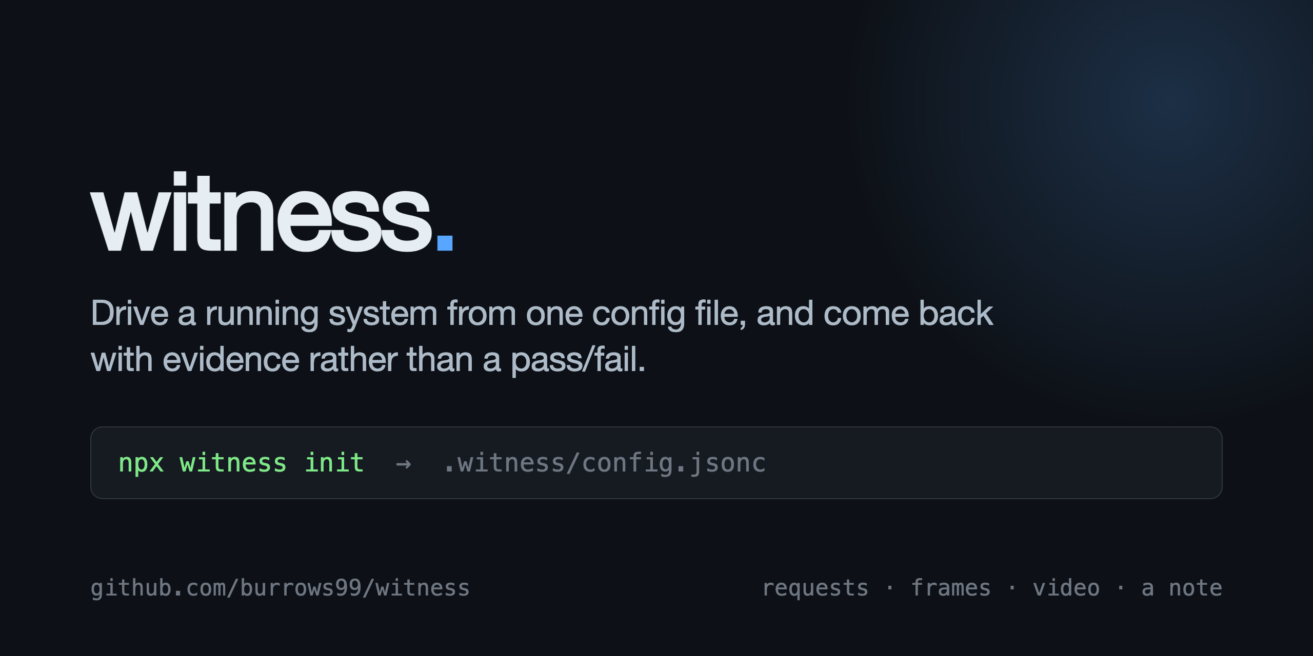 witness