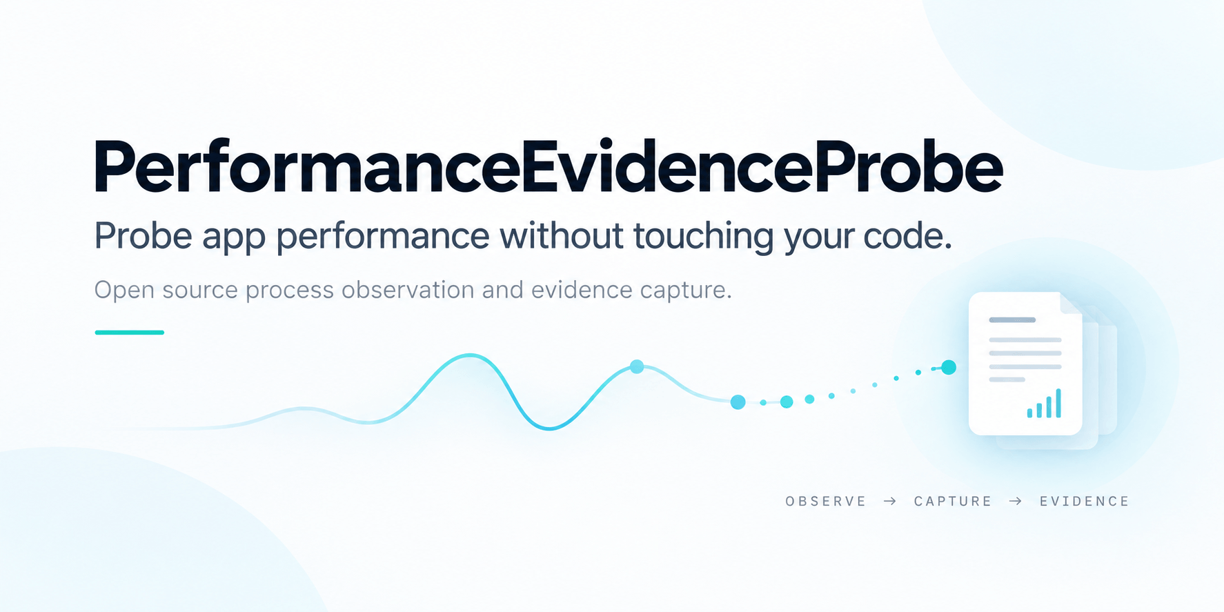 PerformanceEvidenceProbe