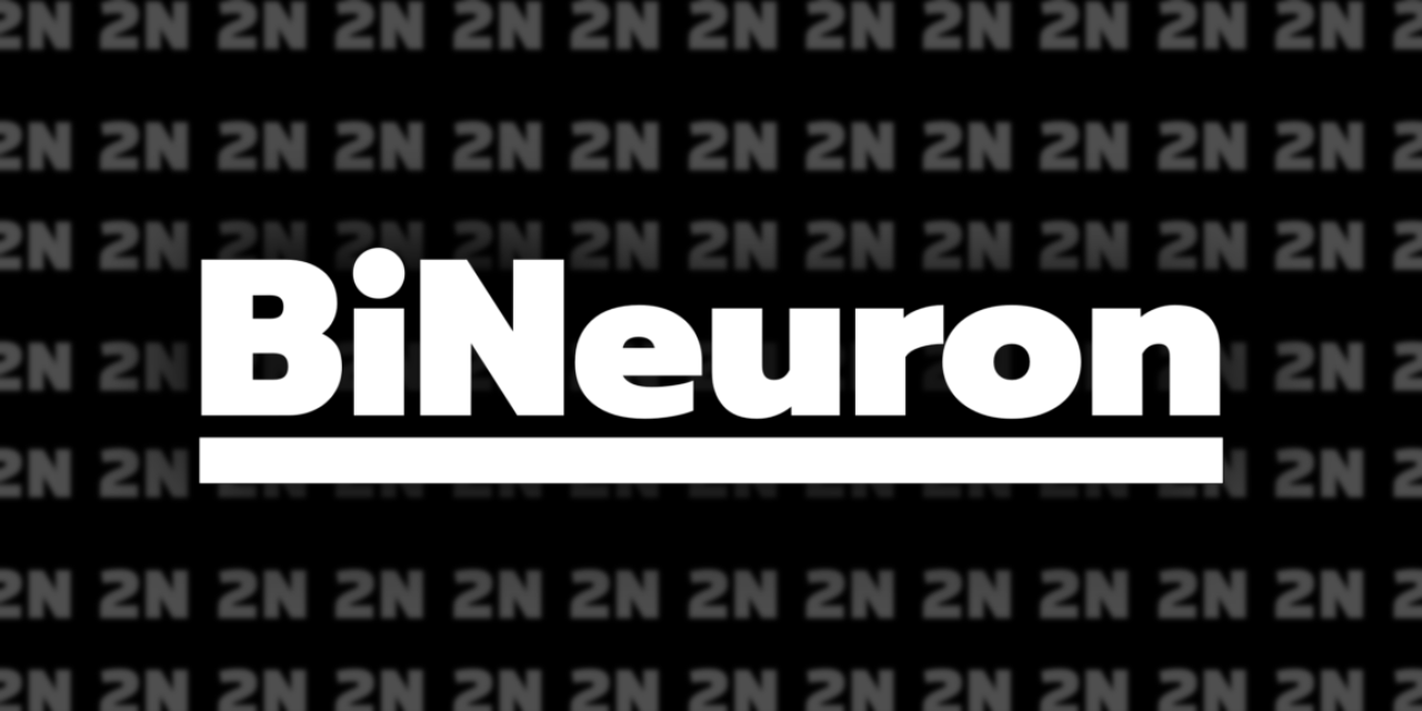 BiNeuron