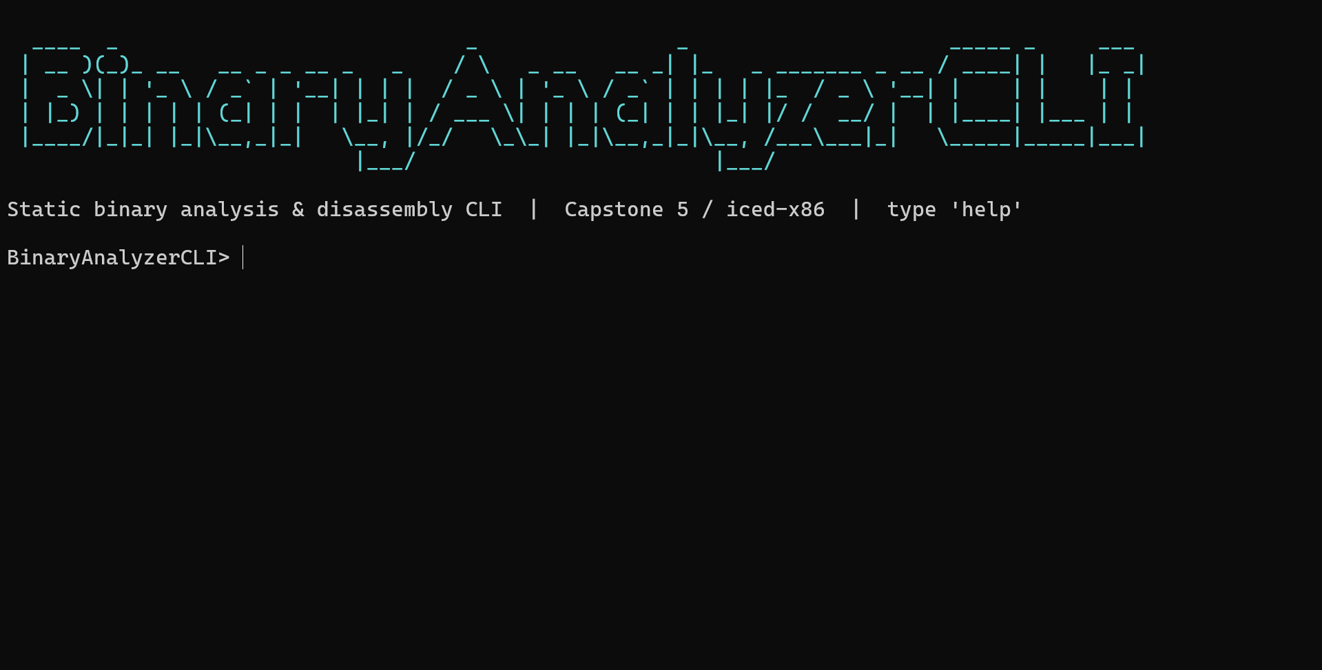 BinaryAnalyzerCLI