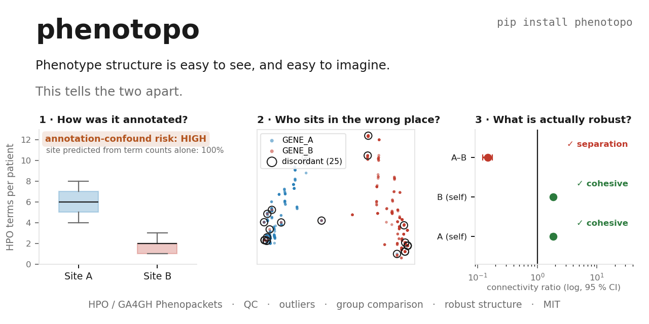 phenotopo